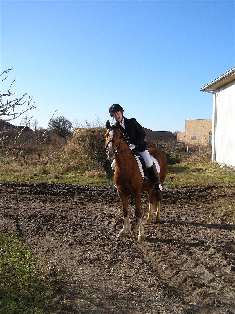 Anden særlig race Maggie<3 billede 17