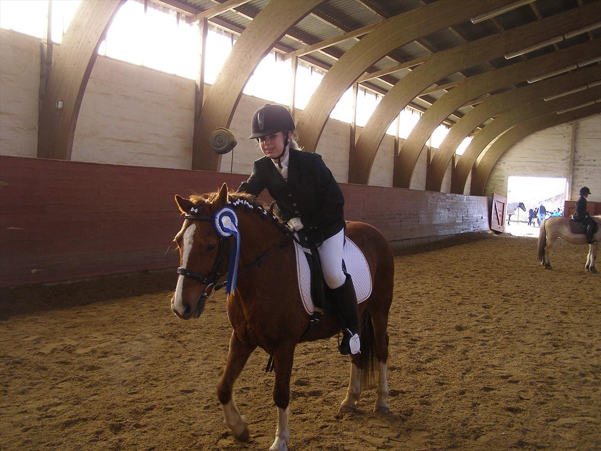 Anden særlig race Maggie<3 billede 18