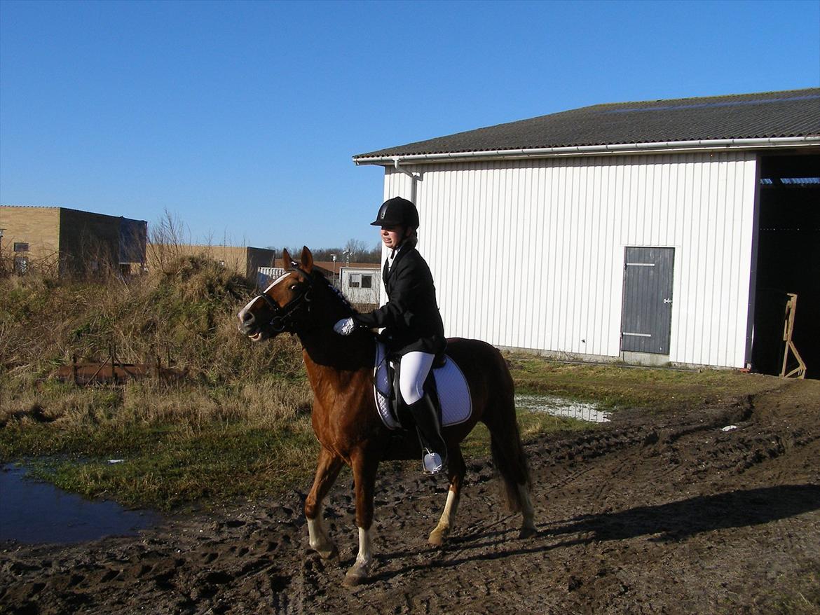 Anden særlig race Maggie<3 billede 20