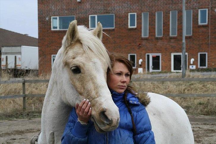 Anden særlig race WILD SECRET. BLINKENDE STJERNE - Når hele verden siger "nej".. hmm. så tror jeg på dig! billede 1