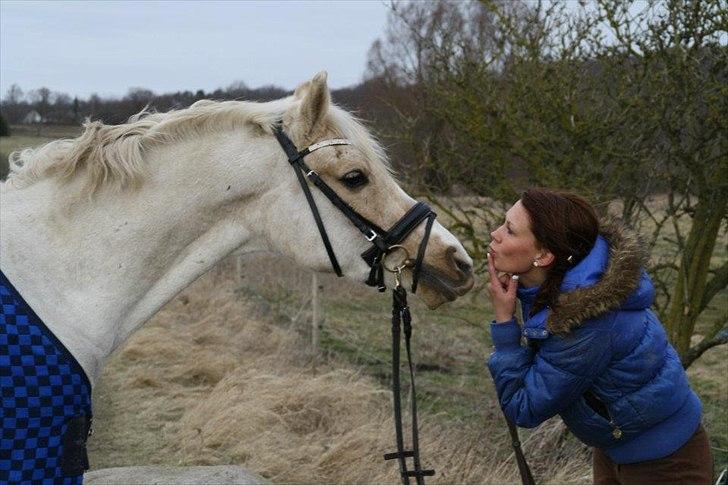 Anden særlig race WILD SECRET. BLINKENDE STJERNE billede 11