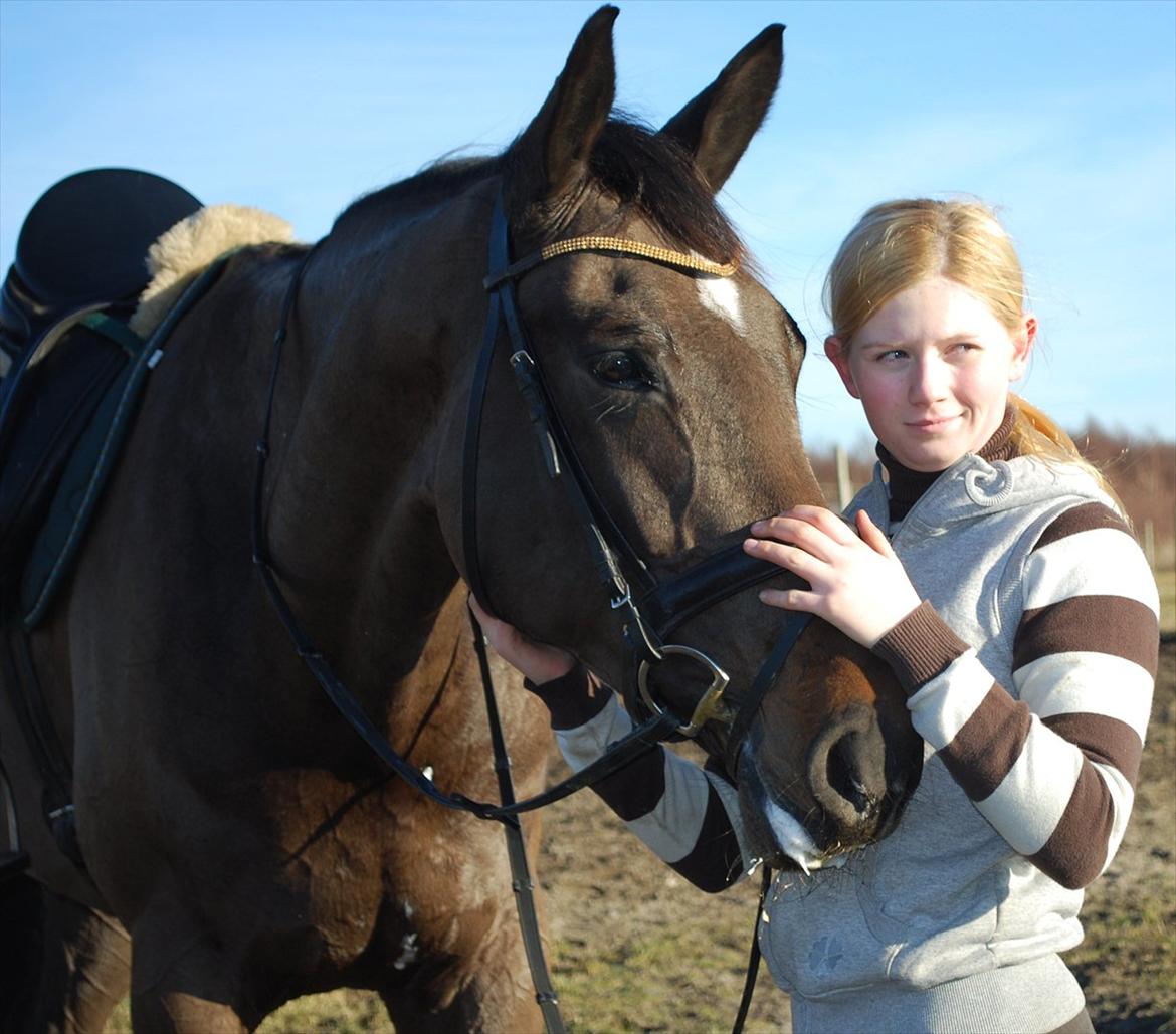 Dansk Varmblod Lerini A **RDS** - Min smukke ven. Jeg elsker dig. Du er fantastisk og har fået en plads i mit hjerte, fra første færd billede 5