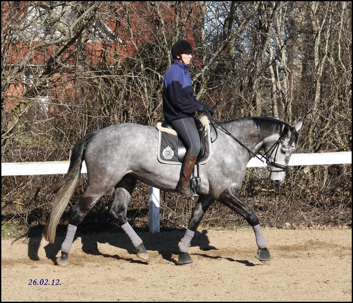 Holstener Castinè - 26.02.12. billede 10