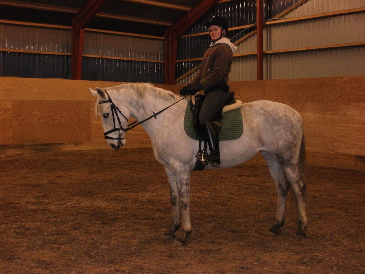 Anden særlig race Stella  - Anden gang jeg sad på hende  billede 7