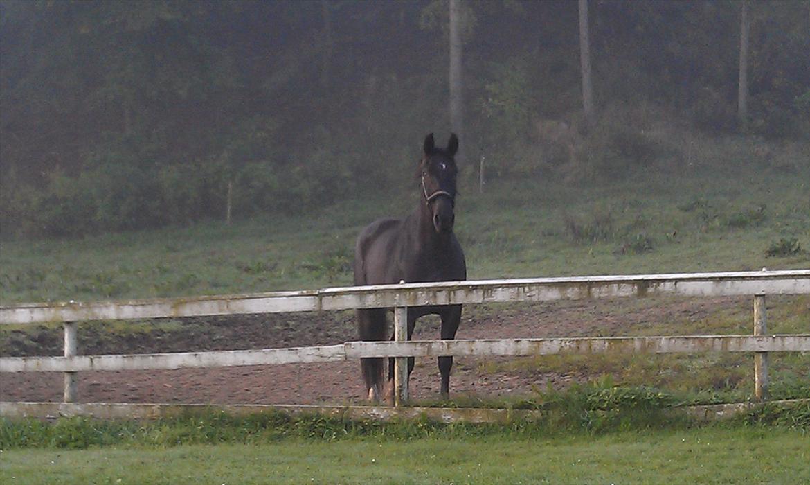 Oldenborg Frederikke Af Hvorvarp billede 18