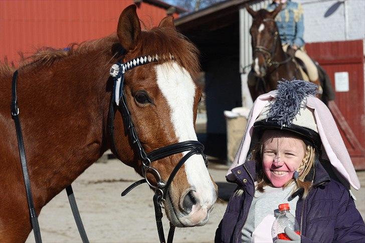 Anden særlig race Passir <3 <3 - Lea og Passir til Fastelavnstævne på ØRK <3 billede 6