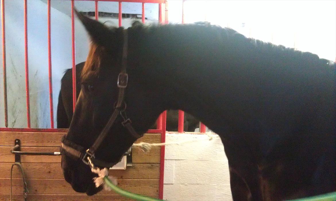 Oldenborg Frederikke Af Hvorvarp billede 20