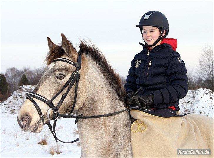 Anden særlig race Roosgårdens Campari billede 15