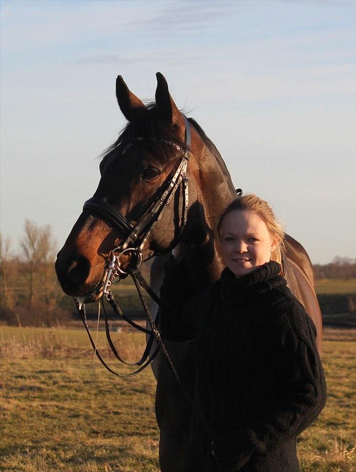 Dansk Varmblod Ullerups Krumme - Krumme og jeg. d. 26/2-2012. Foto: Lonnie V. Lage billede 13