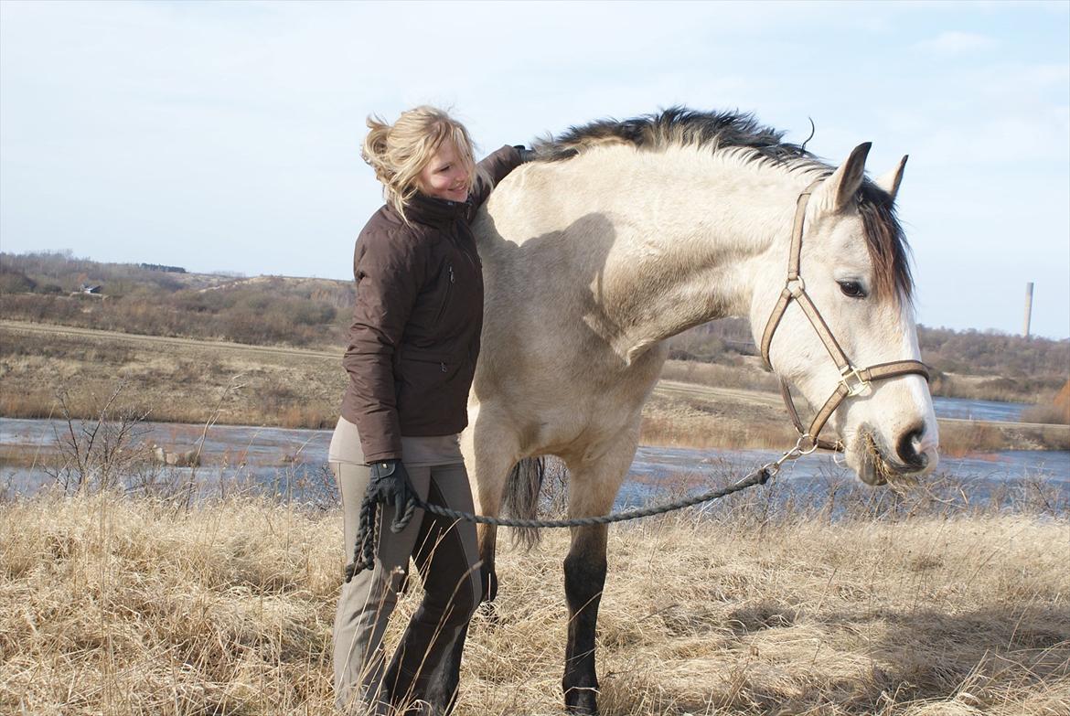 Frederiksborg Kirkebakkens Royal Gold billede 12