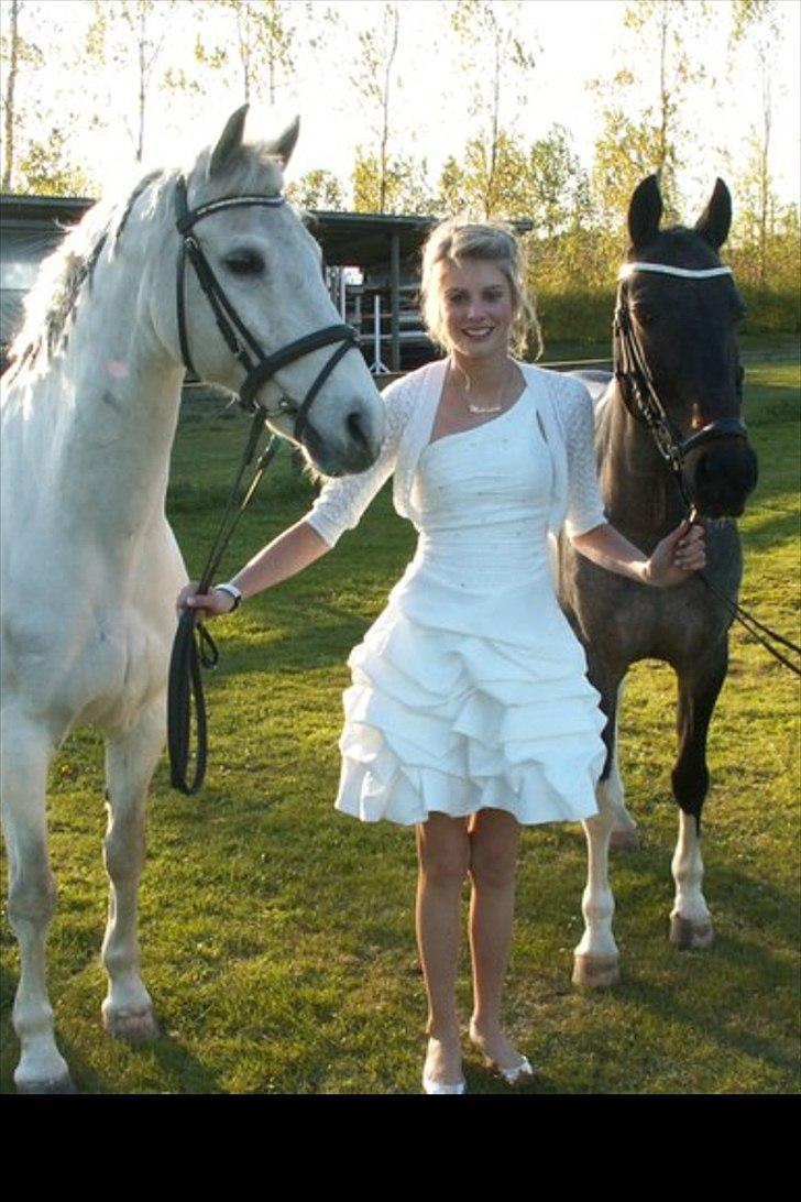 Anden særlig race Domingo - Mig, Kira og Domingo til min Konfirmation!! :-*
Den bedste dag i mit liv<3
 billede 13