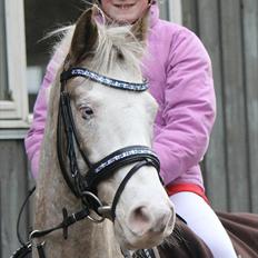 Anden særlig race Roosgårdens Cosmopolitan