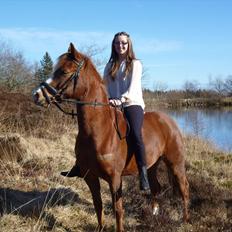 Anden særlig race Ødipus