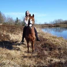 Anden særlig race Ødipus