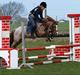 Tysk Sportspony Lucky