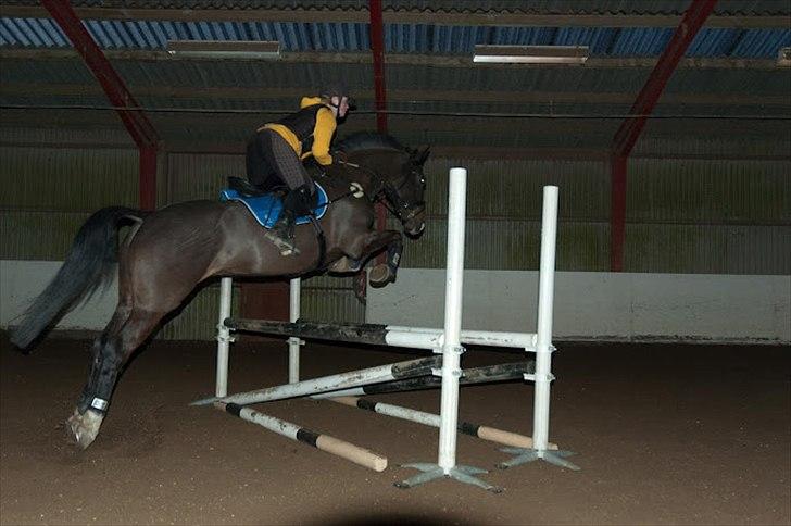 Holstener Prior's Hubert *ENGEL* <3 R.I.P 04-10-2012 - Nr. 10 - du springer mig ind i himlen <3 billede 8