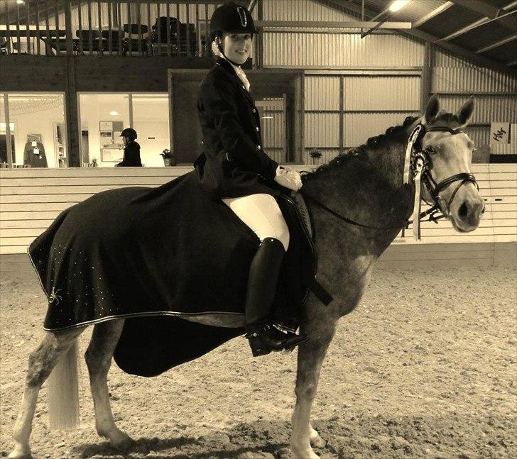 Anden særlig race Mc. Zoya Z - Samlet 2´er til klubmesterskab for hest 2011- dressur. billede 3