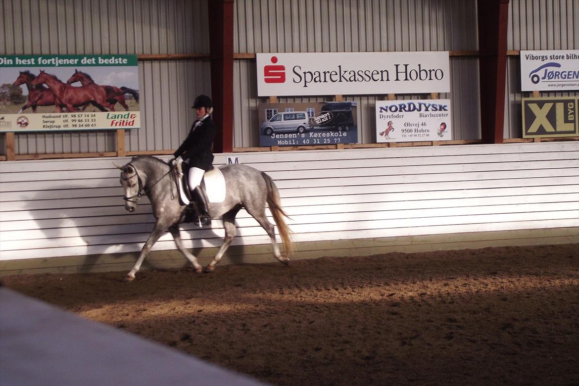 Anden særlig race Mc. Zoya Z - Dejlige pony<3 billede 4