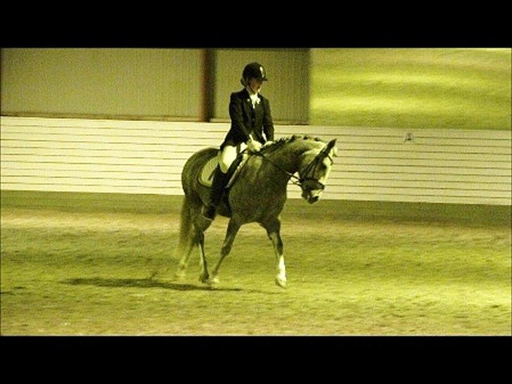 Anden særlig race Mc. Zoya Z - Du fantastisk<3 billede 5