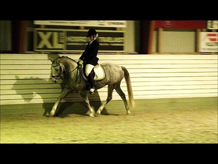 Anden særlig race Mc. Zoya Z - Skønheden hende selv!<3 billede 7