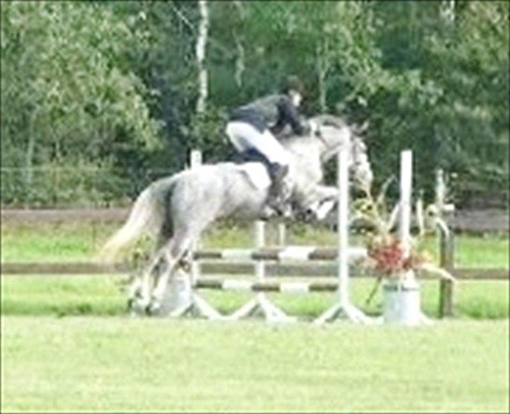 Anden særlig race Mc. Zoya Z - Springpony! billede 8