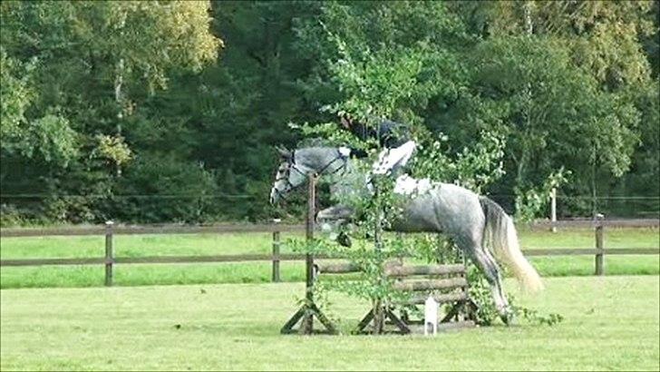 Anden særlig race Mc. Zoya Z - Ingen ting kan stoppe os.
Dig og mig igennem ild og vand<3 billede 9