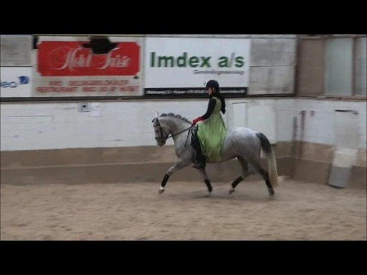 Anden særlig race Mc. Zoya Z - Kostumekür  billede 10