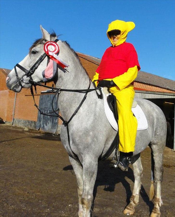 Anden særlig race Mc. Zoya Z - Peter plys & Æslet til kostumespringning, hvor hun vandt det hele!
(vi startede to klasser).  billede 12