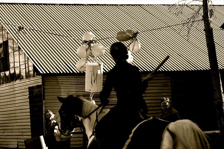 Pinto Freja - 19) fastelavn på hende den smukke :D billede 19