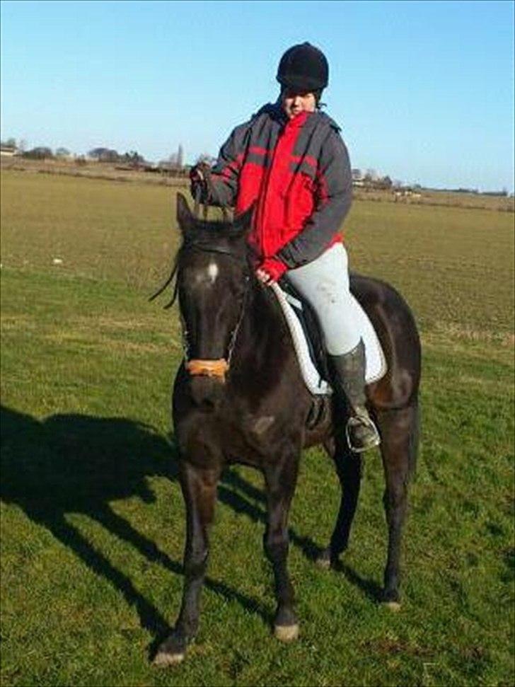 Traver Palle - 20120226 Forårsrideturen billede 1