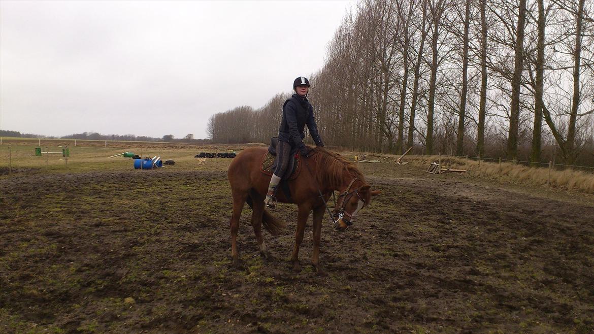 Oldenborg Rosenhavens Fransiska billede 12