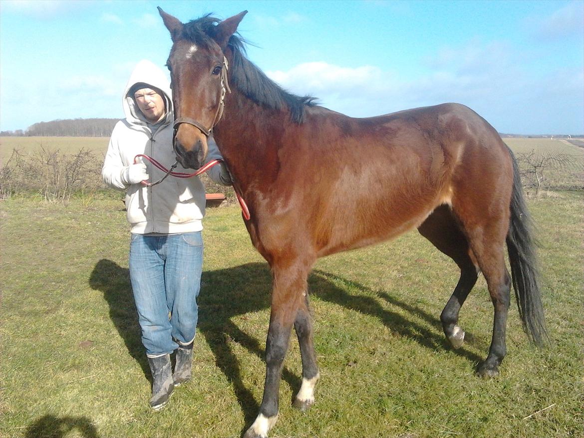 Traver Poolpartygirl F - pooler efter 1 uge hos os billede 1