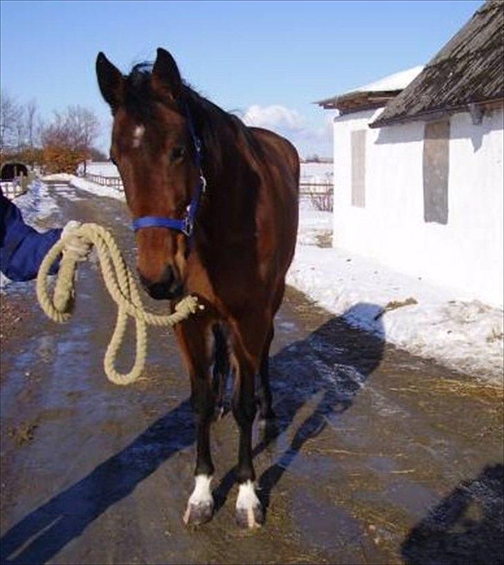 Traver Poolpartygirl F - Første billede der blev taget af prinsessen billede 2
