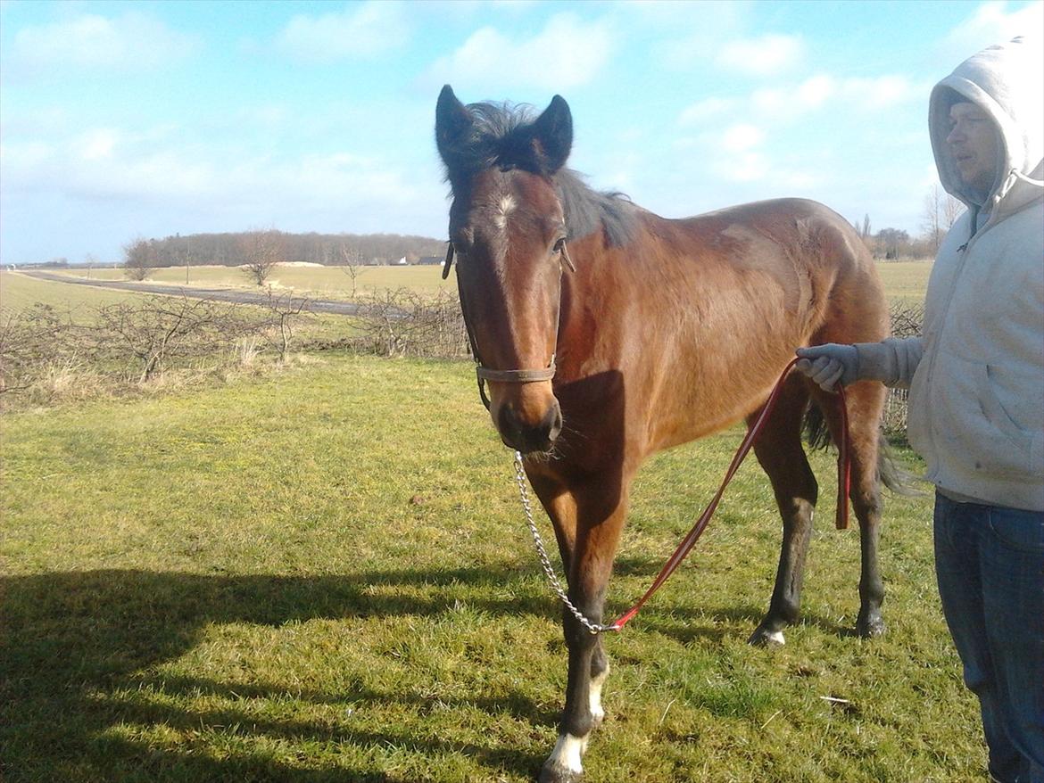 Traver Poolpartygirl F - pooler efter 1 uge hos os billede 3