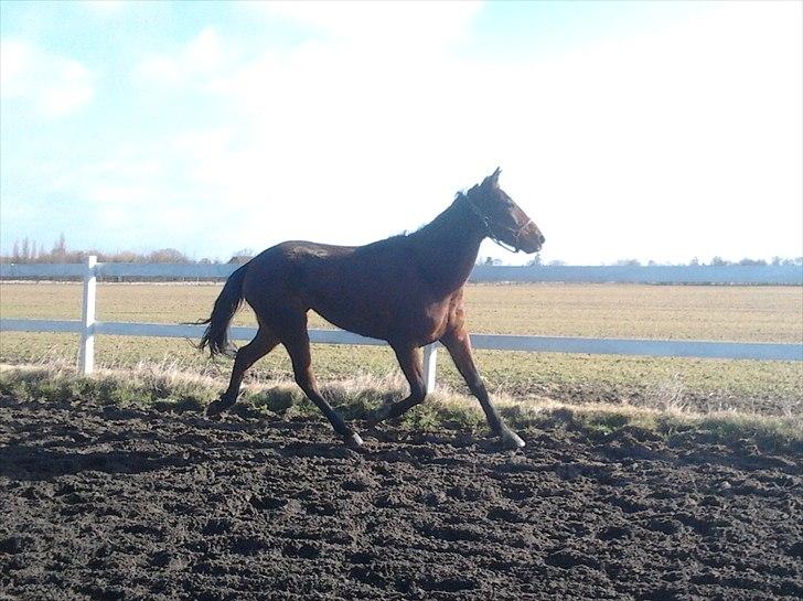 Traver Poolpartygirl F - pooler er begyndt at live op.. har nu haft hende i 3 uger billede 6