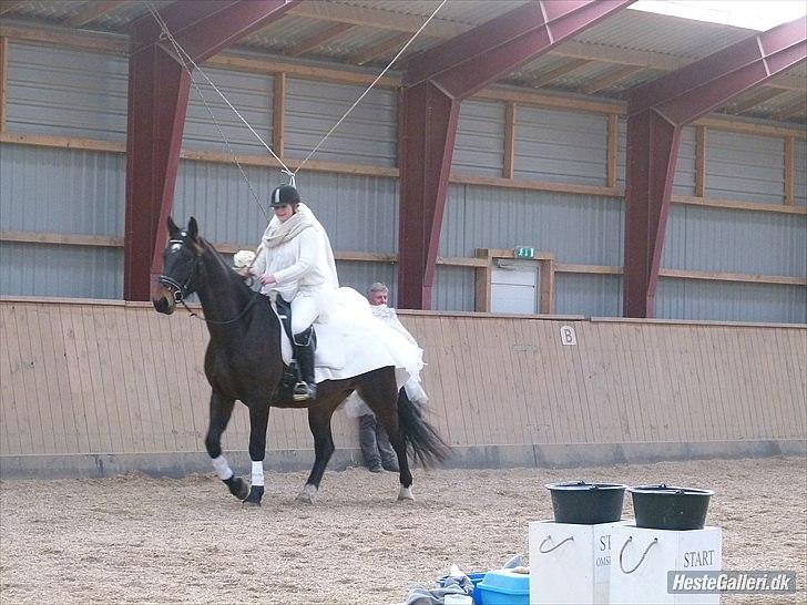 Anden særlig race Qato - Qato og mig til fastelavns hygge :) billede 2