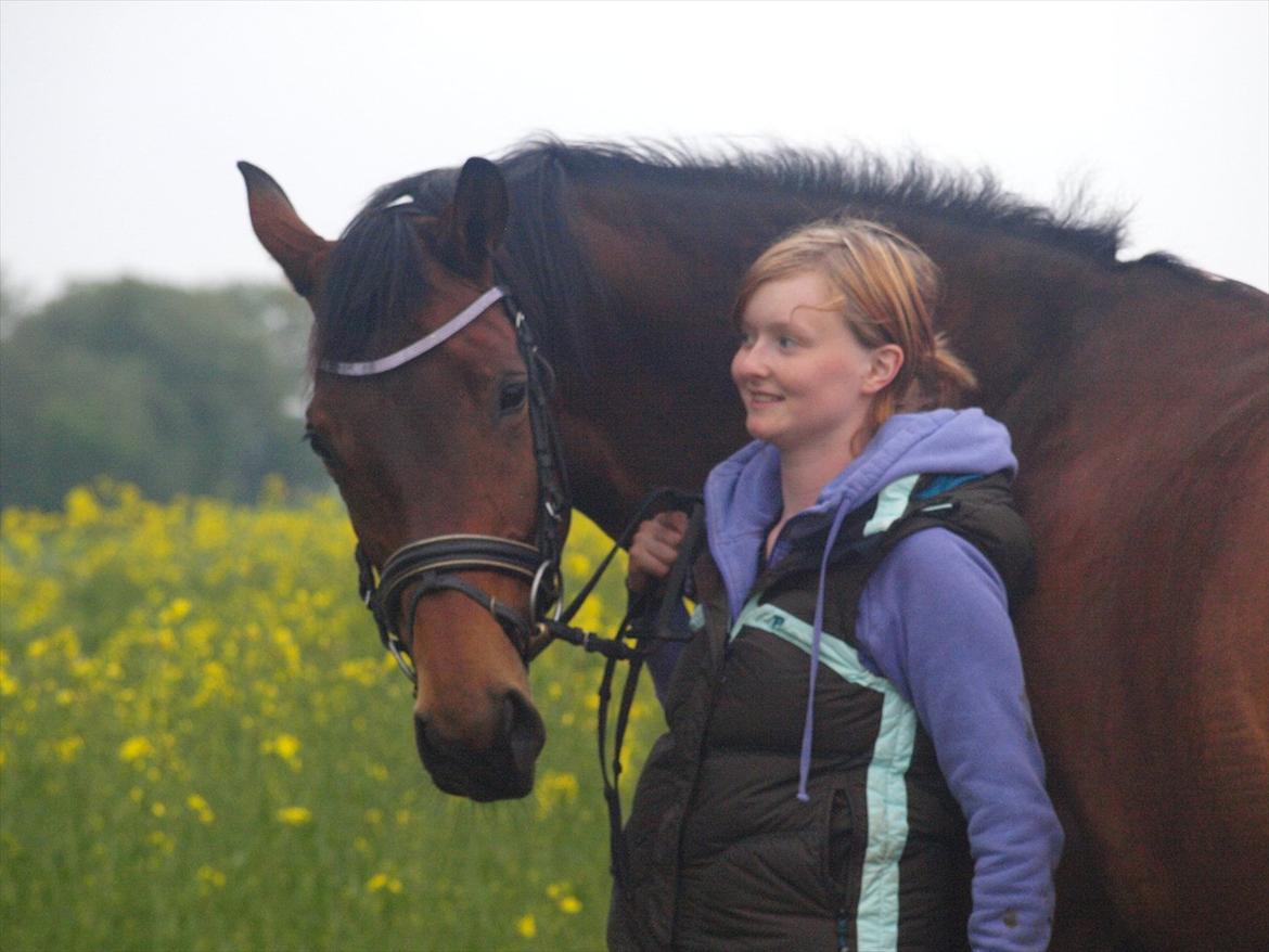 Trakehner Natacha (Møffe) billede 9