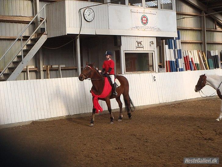 Traver Fame spirit - Fastalavnsstævne på SIR;)
jeg var fodboldspiller og Fame var fodboldfanXDXDXD
foto: Annette billede 6
