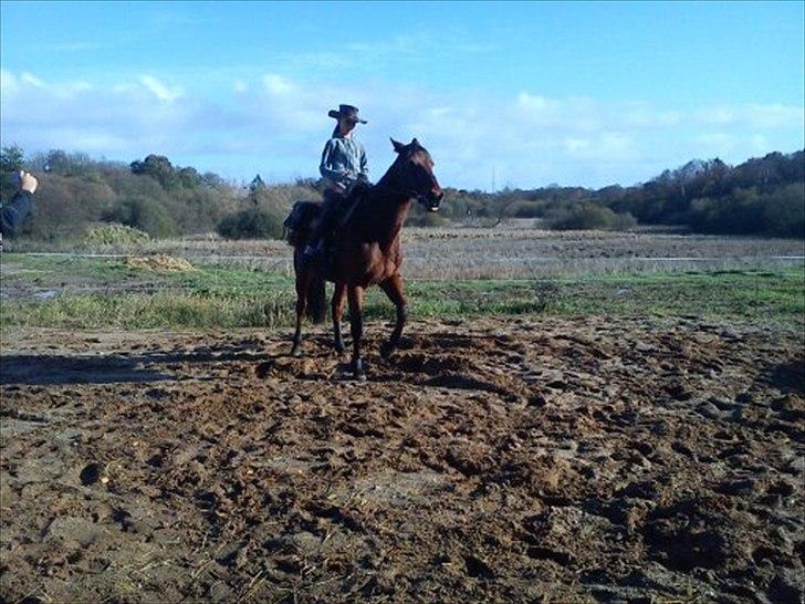Traver Fame spirit - Her øver mig og Fame western<3<3
somtimes i belive that there are nothing we can't when we are together<3<3<3
Foto: Maria T. billede 9