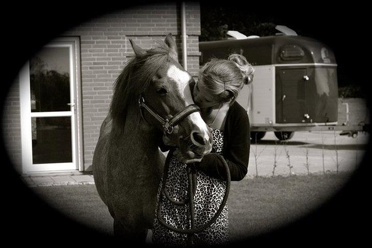 Tysk Sportspony Lucky - Elsker dig Mulle:D <3 billede 6