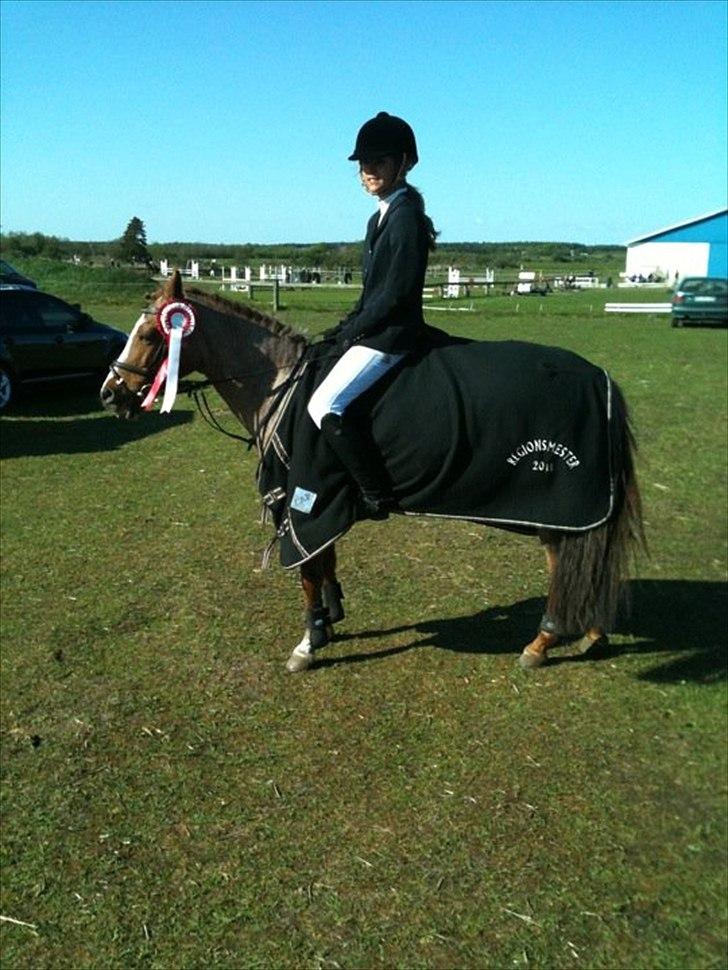 Tysk Sportspony Lucky - Regionsmester:D :* <3 billede 7