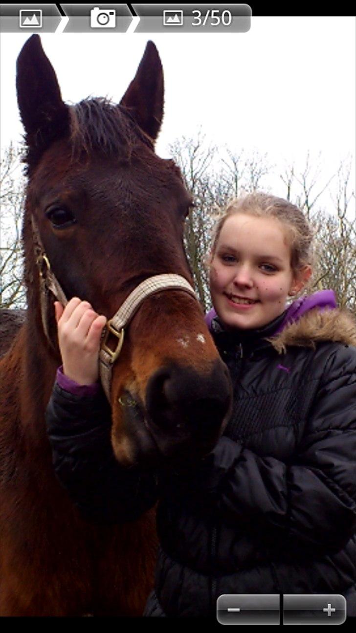 Traver Evita billede 1