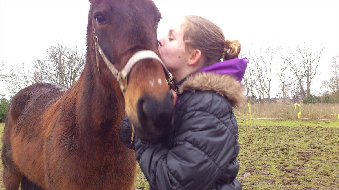 Traver Evita billede 5