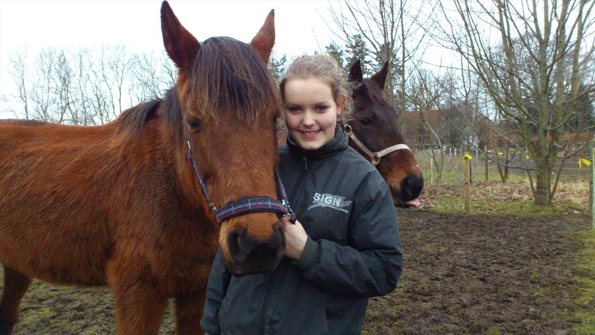 Traver magic  billede 7