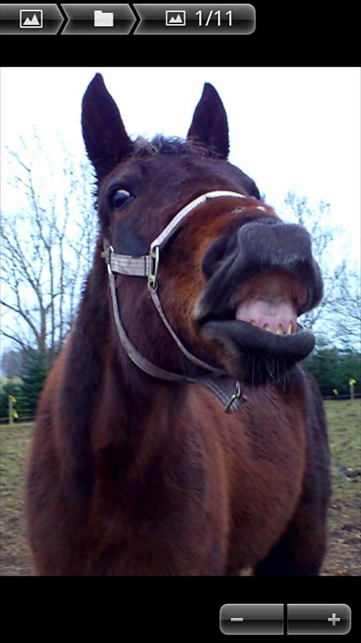 Traver Evita billede 2