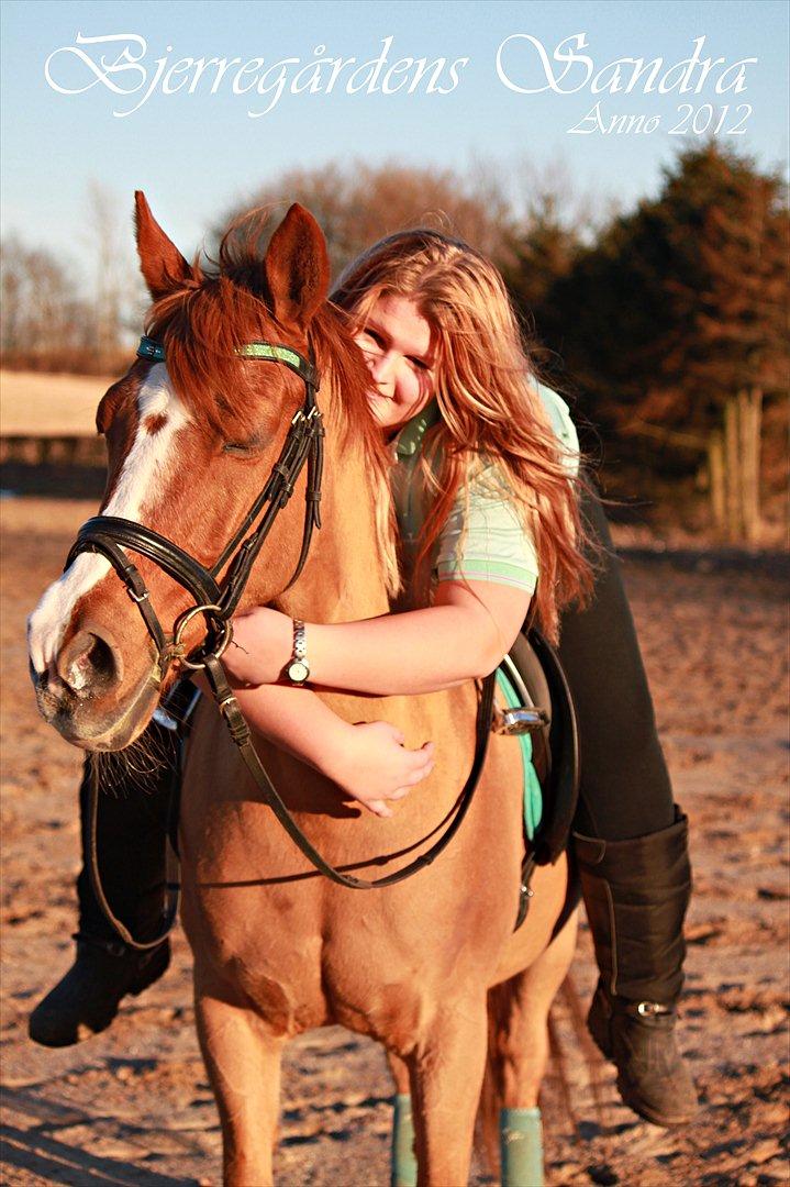 Anden særlig race Bjerregårdens Sandra - *1* "I know I'm lost. But as long I'm lost in you, I'll be just fine.."
 billede 1