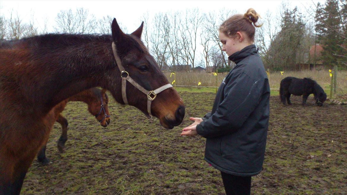 Traver Evita billede 7