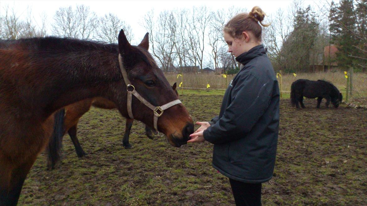 Traver Evita billede 8