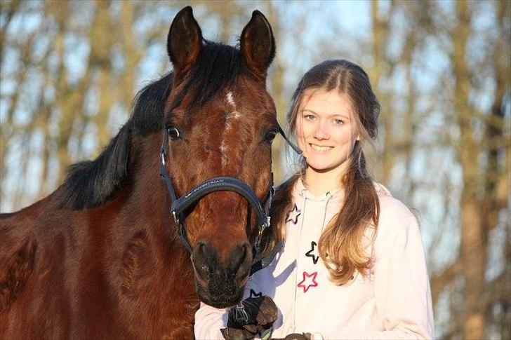 Tysk Sportspony Arking Jump.  - Bullerhesten. - "You've got troubles, I've got 'em too. There isn't anything I wouldn't do for you. We'll stick together to see it through cause you've got a friend in me." billede 2