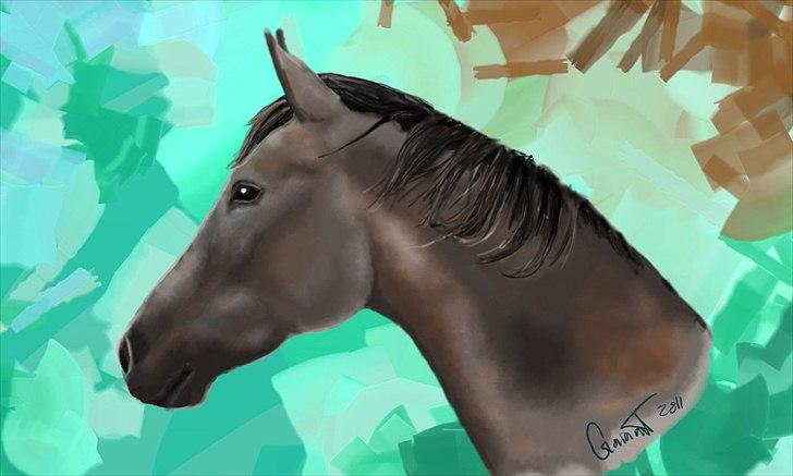 Anden særlig race Bjørnegård's Mio - Et styk Mio tegning :) billede 11